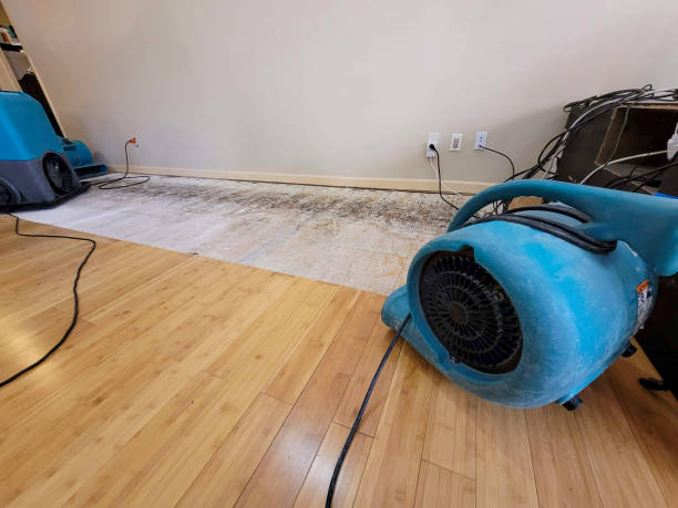 Professional Sewage Cleanup technician working in Lula, GA